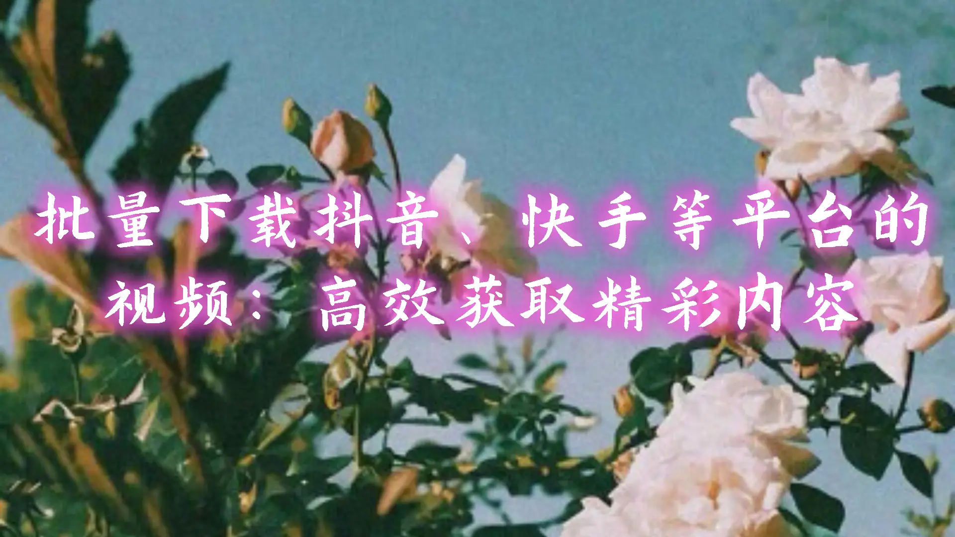 批量注册账号脚本_imtoken批量注册_批量注册快手号的软件