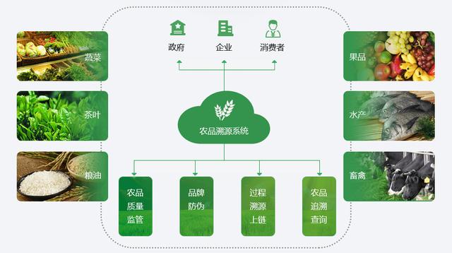 imtoken钱包是什么钱包_钱包是正规借款平台吗_钱包是什么软件