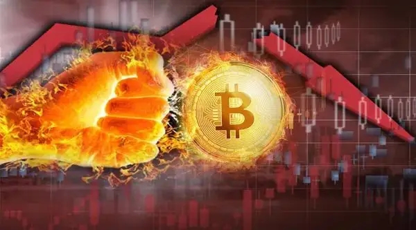 大陆用户怎么充值po币_imtoken大陆用户_大陆用户怎么使用mycard