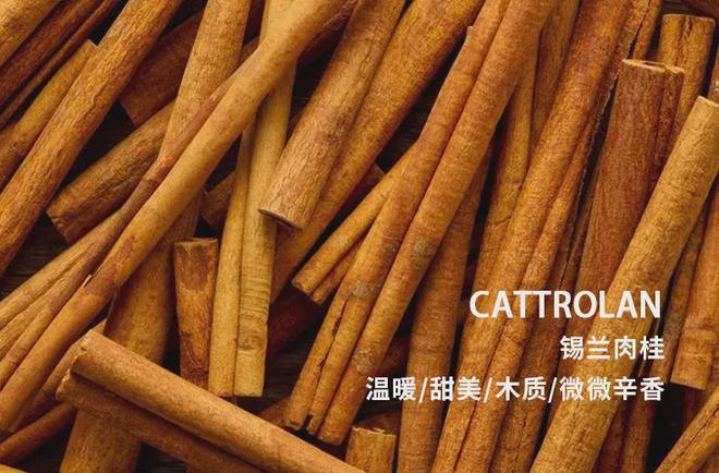 钱包英语_钱包怎么折_imotoken钱包