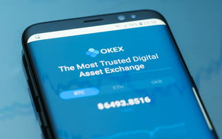 imtoken和币安-Imtoken 与币安：数字货币世界的过山车之旅，风险与机遇并存