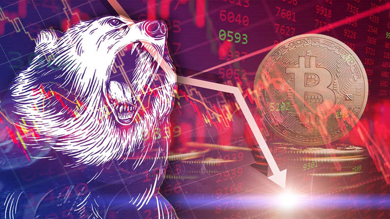 imtoken收录pi币_imtoken钱包收usdt_imtoken莫名收到很多币