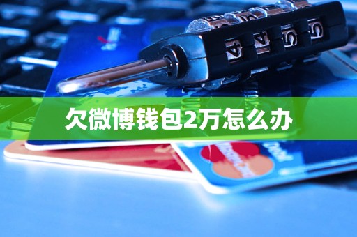钱包被盗了_钱包被盗报警会受理吗_im钱包被盗可以报案吗