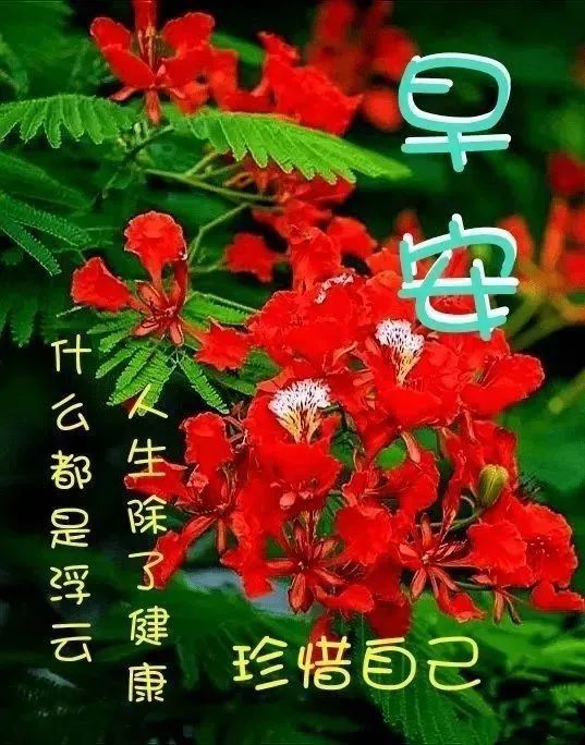 im钱包转账手续费_钱包转账手续费怎么算_转钱的手续费是怎么扣的