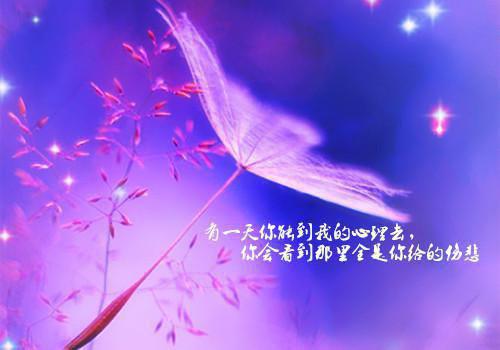 im钱包挖矿JST真的吗-im 钱包挖矿 JST 靠谱吗？小白用户的困惑与担忧