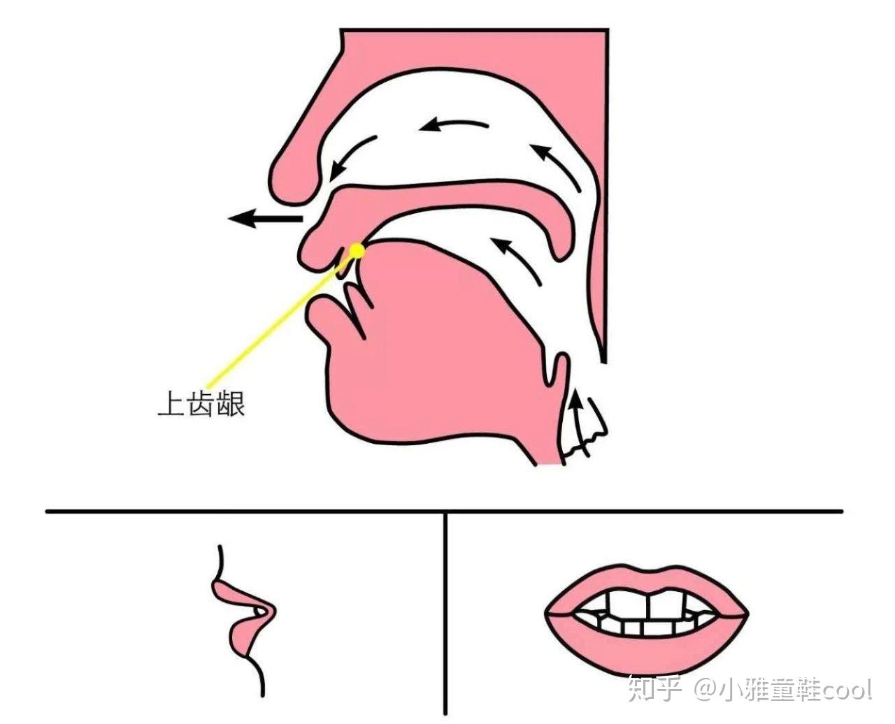 imtoken怎么读音发音_读音发音英语怎么说呢_读音发音音标