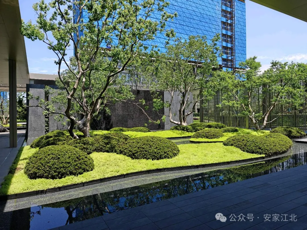 im钱包怎么交易-掌握 im 钱包交易技巧,开启数字货币财富大门 im钱包怎么交易-掌握 im 钱包交易技巧,开启数字货币财富大门