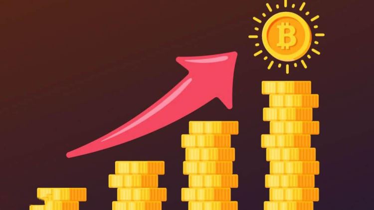 token.im 钱包下载_钱包下载官网_钱包下载安装