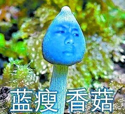 im钱包提币使用流程_钱包提币到交易所多久到账_提币到imtoken钱包要多久