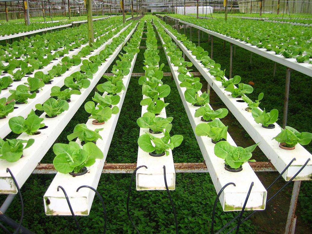 imtoken币安智能链_imtoken币安智能链_imtoken币安智能链