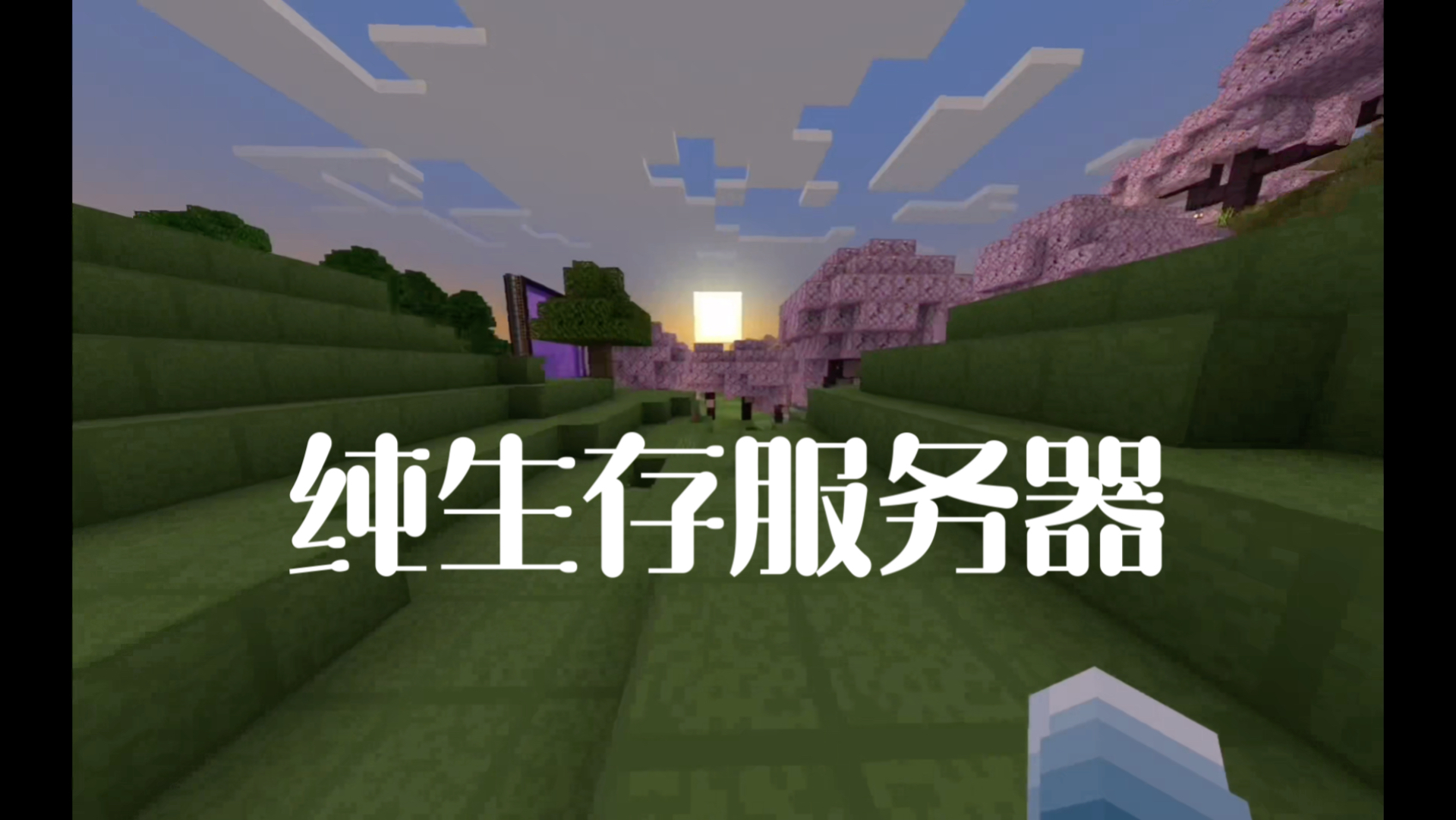 imtoken3.0国际服_小小忍者国际服_dota2国际服开箱子