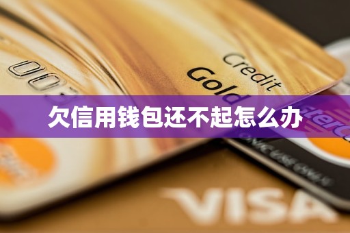 钱包转u为什么一直显示打包_钱包一直显示打包中_im钱包打包失败怎么办