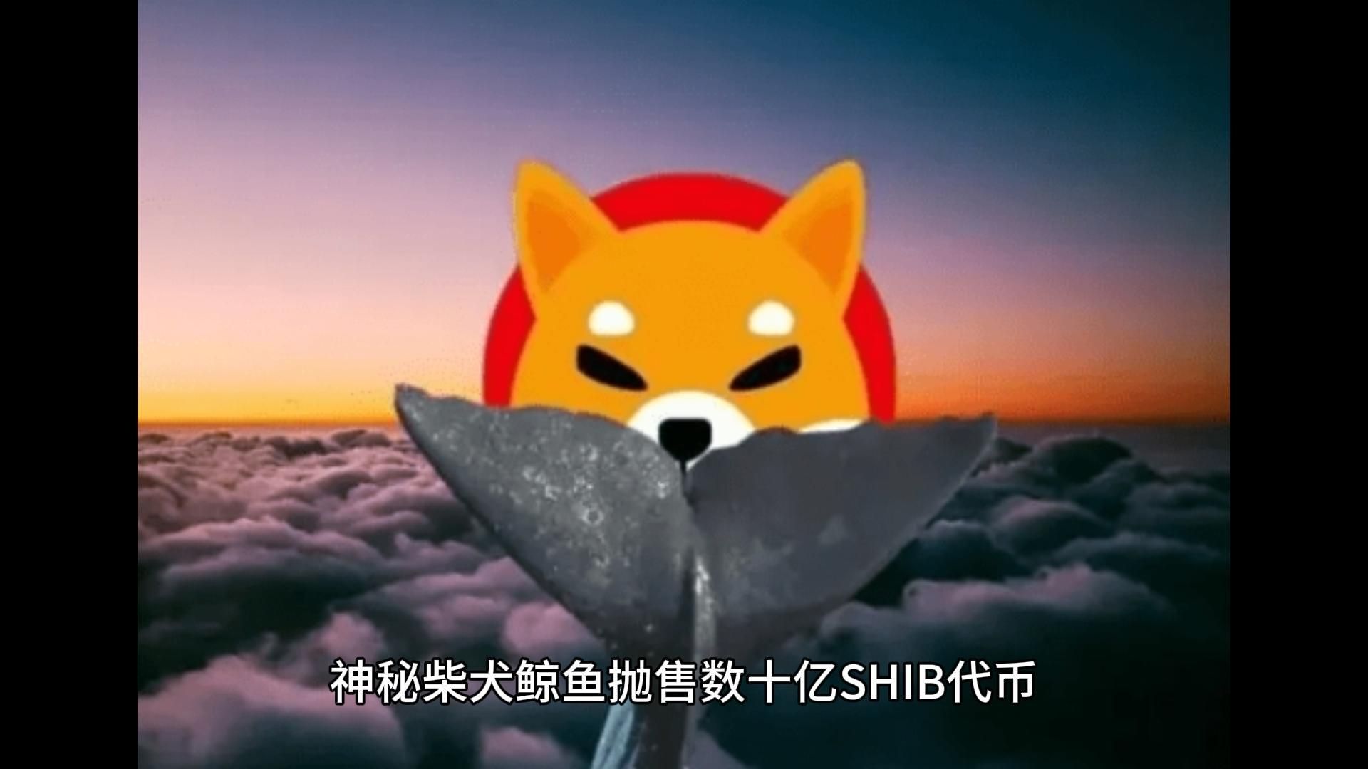 代币怎么转账_钱包里的代币怎么交易_im钱包收到几十亿代币