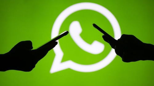 whatsapp 在中国怎么注册,轻松开启跨国沟通之旅