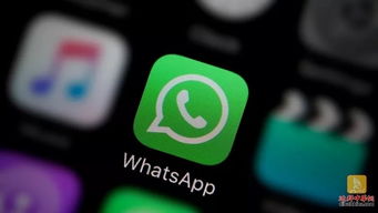 whatsapp 声音,解锁WhatsApp中的情感密码