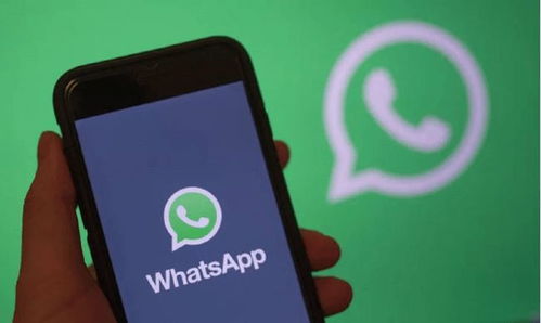 whatsapp不更新怎么用,探索替代方案与使用指南