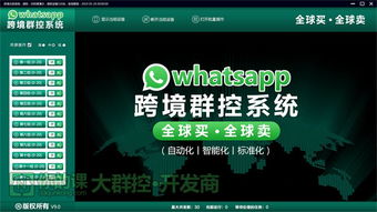 whatsapp币尔大数据,洞察社交货币新趋势”