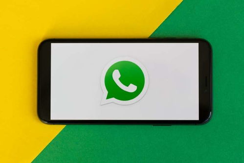 WhatsApp的更新,功能升级与隐私保护新举措揭秘