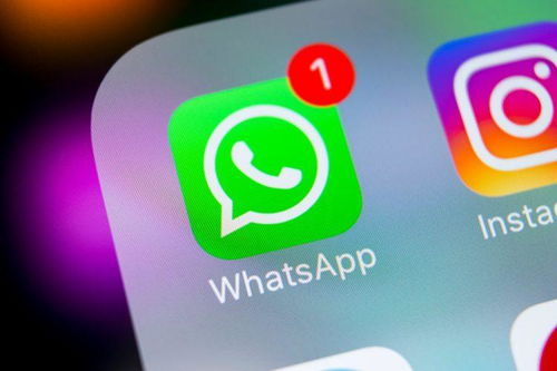 whatsapp 同类,揭秘WhatsApp的崛起与影响