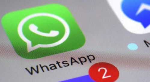 whatsapp 帐号,隐私、安全与社交新篇章