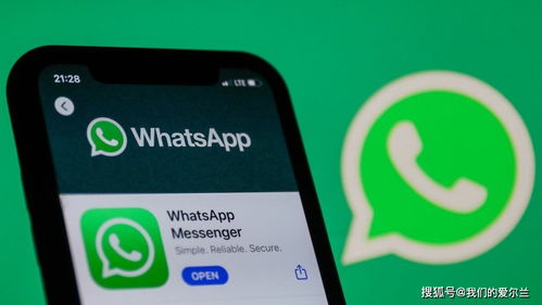 whatsapp 禁止更新,揭秘社交巨头的新政策及其影响