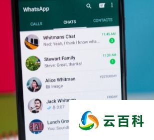 whatsapp 怎么看在线,并且您的个人信息得到保护。