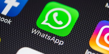 whatsapp被封是什么状态,网络封锁下的社交困境