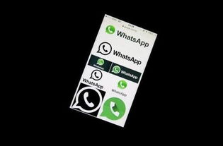 whatsapp动态怎么回事,功能升级与隐私变革背后的故事