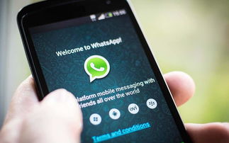 whatsapp发图片不清楚,WhatsApp图片传输不清晰解决方案详解