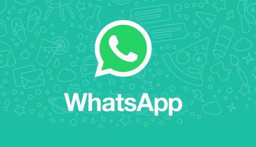 whatsapp 两个蓝色勾,消息发送与阅读状态全解析