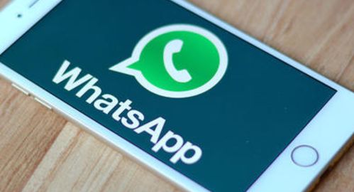 whatsapp的表情在哪,探索WhatsApp表情包的多样来源与创意制作技巧