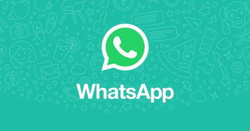 whatsapp登录不用验证,WhatsApp新功能助您畅享沟通无忧