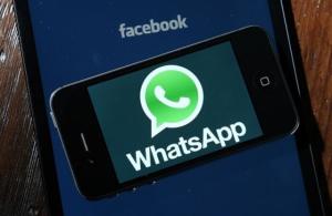 whatsapp短信验证码开头,揭秘其多重防护机制