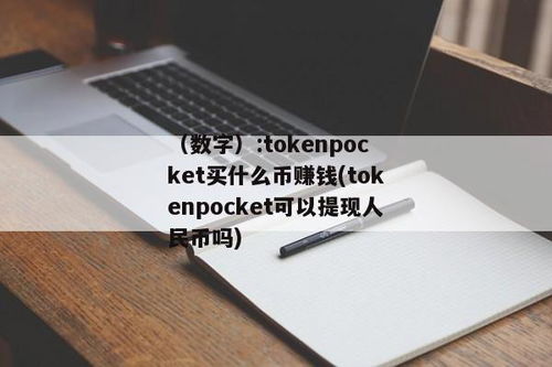 tokenpocket怎么显示人民币,操作指南