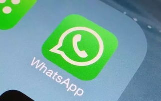 老外用whatsapp干嘛,老外如何利用WhatsApp进行社交互动