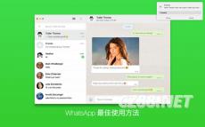 v.whatsapp..com,v.whatsapp.com深度解析