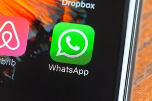 whatsapp安装安全吗,WhatsApp安装安全吗？全面解析安装风险与防护措施