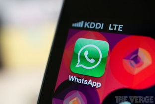 whatsapp二维码多久失效,揭秘其有效期限与更新机制