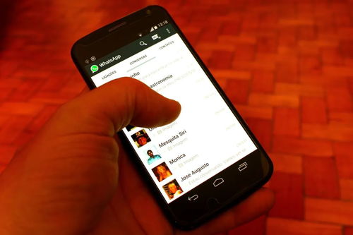 WhatsApp发过去只有一个,探索未知世界的奇妙之旅