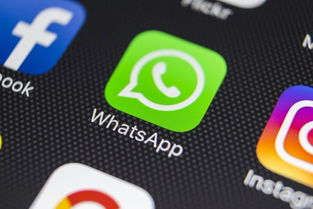 whatsapp 闹钟,智能通讯与个性化唤醒的完美结合