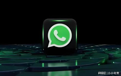 whatsapp不能收短信咋办,WhatsApp无法接收短信？教你轻松解决方法
