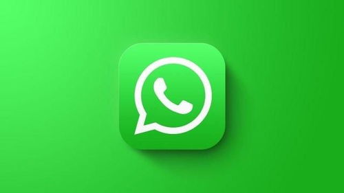 whatsapp 文案,塑造专业企业形象的关键技巧
