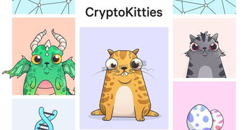以太坊 加密猫 拥堵,揭秘数字宠物游戏对区块链生态的影响