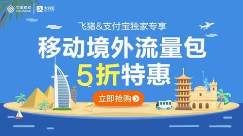 流量监控专家 