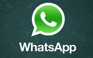 whatsapp latest 2017,2017年WhatsApp最新功能与更新概览