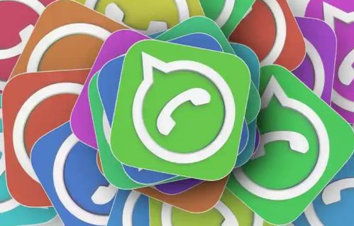 whatsapp 设置名字,打造专属社交形象