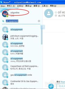 skype账号哪个才是,功能与使用指南