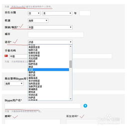skype账号如何填写,畅享全球沟通新体验