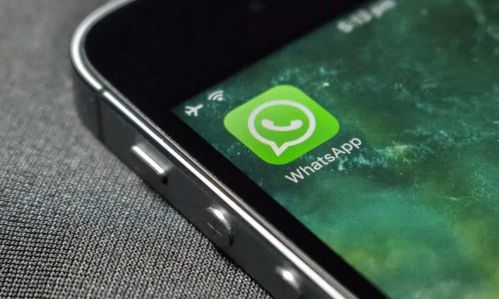 苹果的whatsapp能用吗