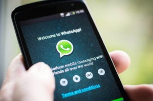 价格适中的whatsapp工具,助力企业高效沟通与营销